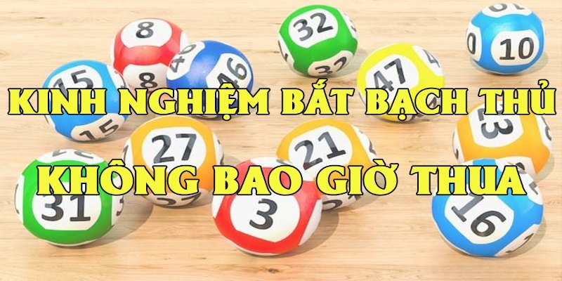 Bạch thủ đề kinh nghiệm bắt