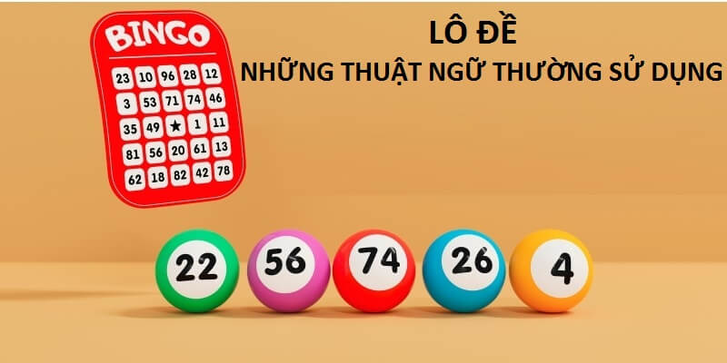 Lô đề và những thuật ngữ thường sử dụng tại soi cầu 24h