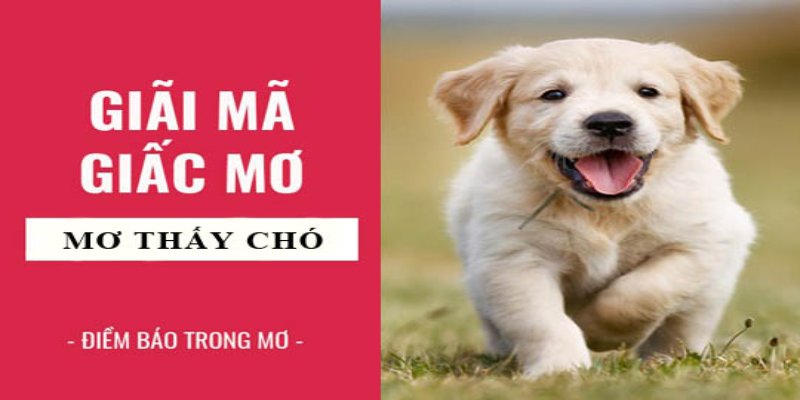 Những trường hợp khác khi lý giải về mơ thấy chó