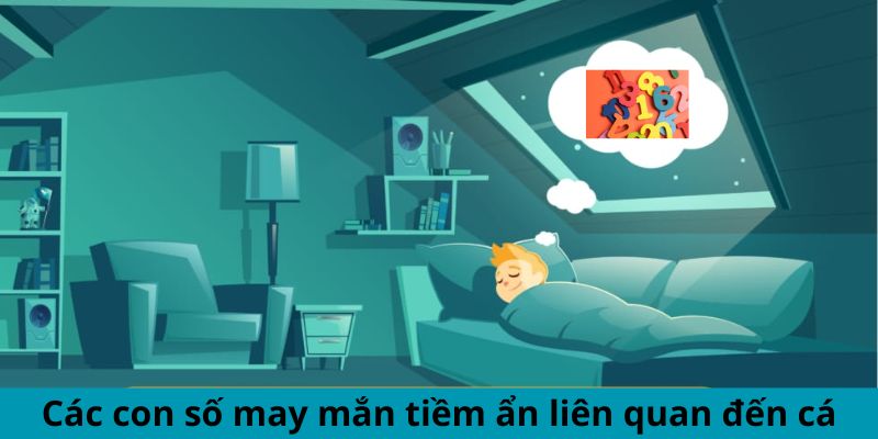 Các con số may mắn tiềm ẩn liên quan đến cá