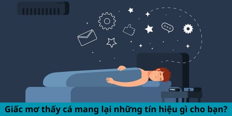 Giấc mơ thấy cá mang lại những tín hiệu gì cho bạn?