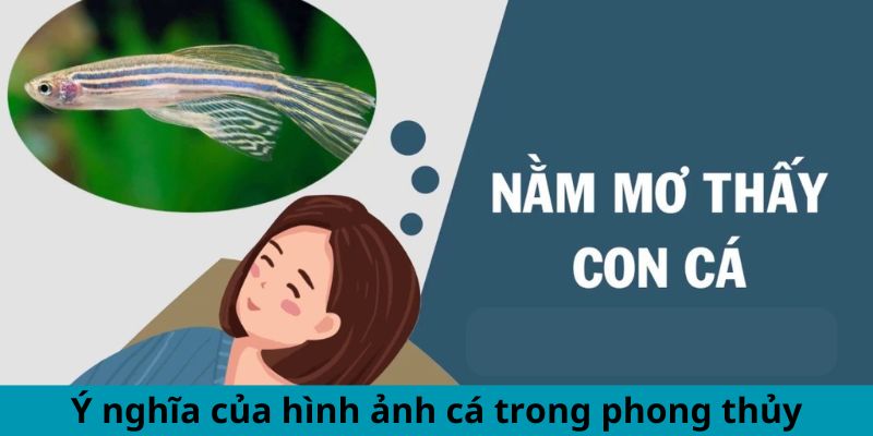 Ý nghĩa của hình ảnh cá trong phong thủy